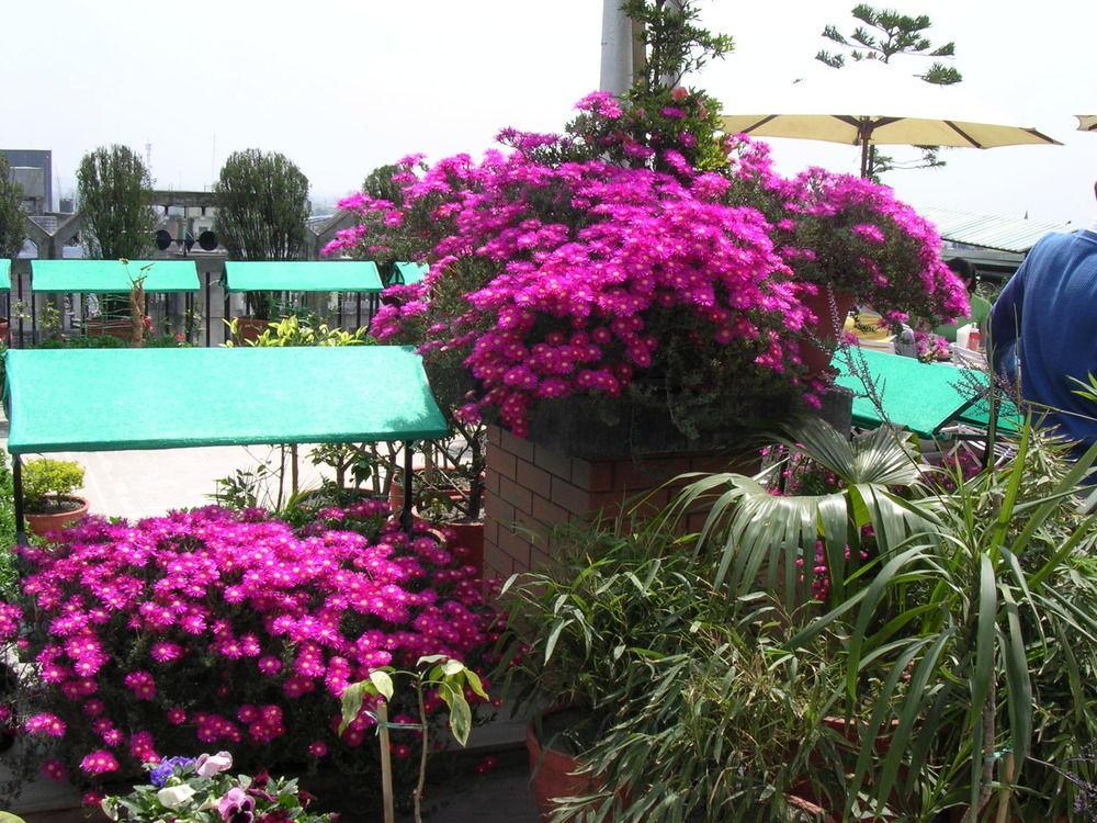 Hotel Excelsior Kathmandu Exterior photo